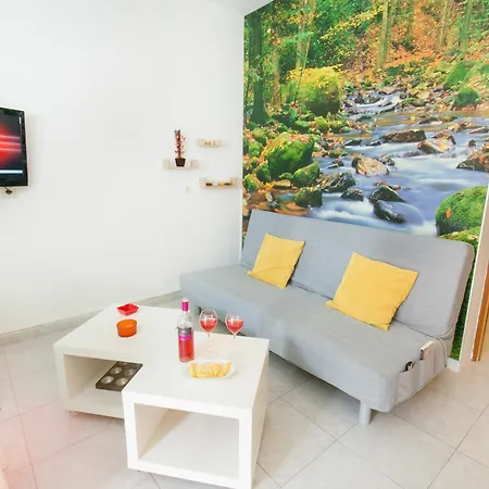 Sunny & Calmness Apartment's Apartment